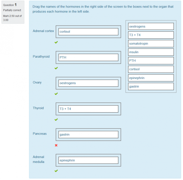 ddmatch question type 07.png