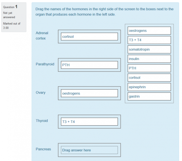 ddmatch question type 06.png